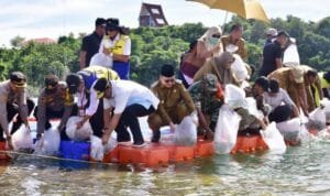 Tebar 250 Ribu Benih, Pj Gubernur Sulsel Target Wajo Jadi Pusat Ikan Air Tawar
