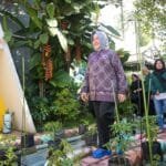 Ketua TP PKK Makassar Tinjau Lorong Wisata Gembira, Agatis Farm, dan Maastricht