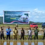 Ketua DPRD Maros Bersama Forkopimda Tanam Padi Serentak dengan Presiden RI