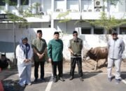 Pemkot Makassar Bagikan Hewan Kurban Iduladha 2026 untuk Warga dan Cleaning Service