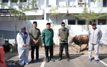 Pemkot Makassar Bagikan Hewan Kurban Iduladha 2026 untuk Warga dan Cleaning Service