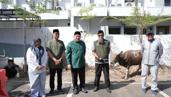 Pemkot Makassar Bagikan Hewan Kurban Iduladha 2026 untuk Warga dan Cleaning Service